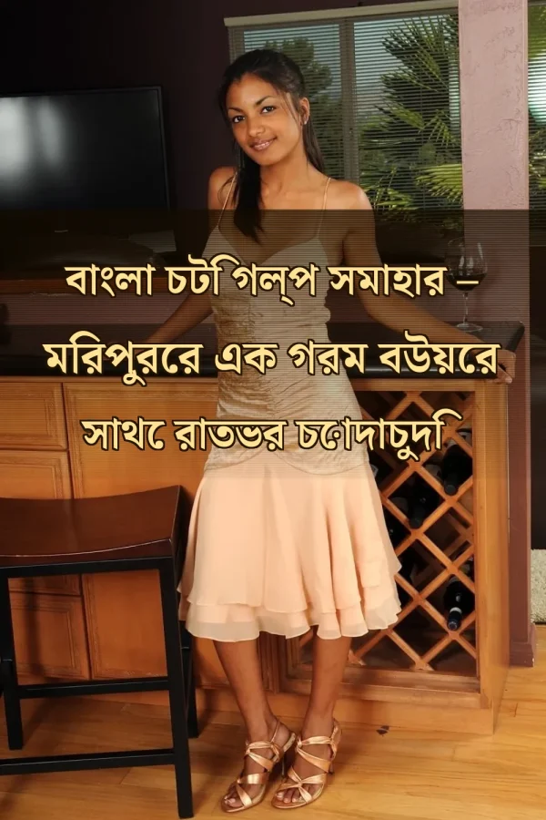 বাংলা চটি গল্প সমাহার – মিরপুরের এক গরম বউয়ের সাথে রাতভর চোদাচুদি