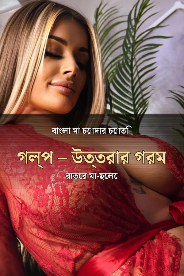 বাংলা মা চোদার চোতি গল্প – উত্তরার গরম রাতের মা-ছেলে