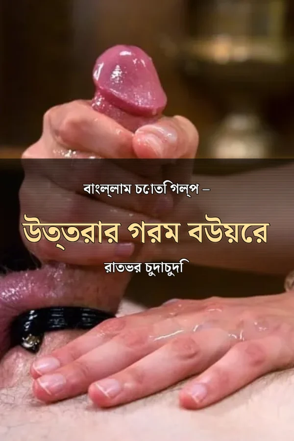 বাংল্লাম চোতি গল্প – উত্তরার গরম বউয়ের রাতভর চুদাচুদি